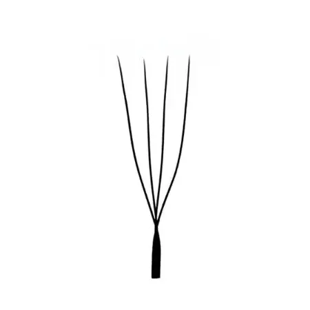 china yy w shape eyelash extensions wholesale manufacturer